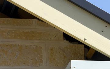 soffit repair The Dene